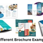 Different Brochure Examples