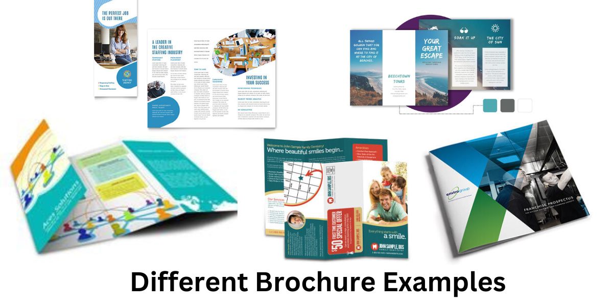 Different Brochure Examples